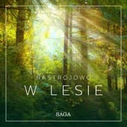 Cover von Nastrojowo - W lesie