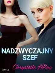 Cover von Nadzwyczajny szef - opowiadanie erotyczne