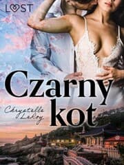 Cover von Czarny kot - opowiadanie erotyczne