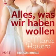 Cover von Alles, was wir haben wollen - Erotische Novelle