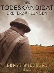 Cover von Der Todeskandidat. Drei Erzählungen
