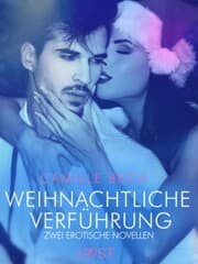 Cover von Weihnachtliche Verführung - Zwei erotische Novellen