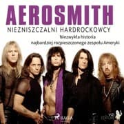 Cover von Aerosmith - Niezniszczalni hardrockowcy