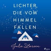 Cover von Lichter, die vom Himmel fallen