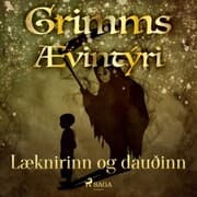 Cover von Læknirinn og dauðinn