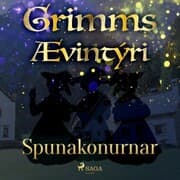 Cover von Spunakonurnar