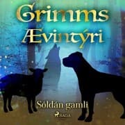 Cover von Sóldán gamli
