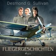 Cover von Fliegergeschichten