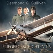 Cover von Fliegergeschichten 1-3