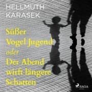 Cover von Süßer Vogel Jugend oder Der Abend wirft längere Schatten