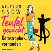 Cover von Teufel gesucht, Katastrophe vorhanden