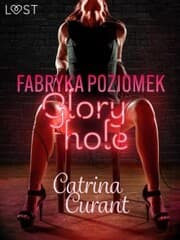 Cover von Fabryka Poziomek: Glory hole - opowiadanie erotyczne