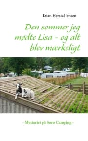 Cover von Den sommer jeg mødte Lisa - og alt blev mærkeligt