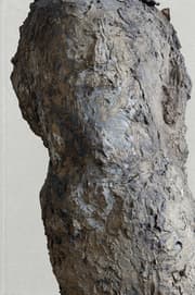 Cover von Hans Josephsohn