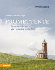 Cover von Promettente. Avventure lungo la Via romanica delle Alpi
