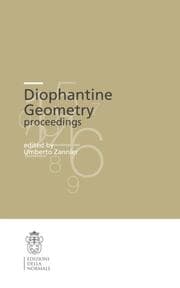 Cover von Diophantine Geometry