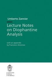 Cover von Lecture Notes on Diophantine Analysis