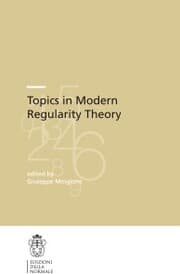 Cover von Topics in Modern Regularity Theory