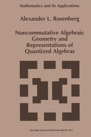 Cover von Noncommutative Algebraic Geometry and Representations of Quantized Algebras