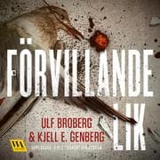 Cover von Förvillande lik