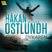 Cover von Dykaren