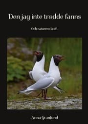 Cover von Den jag inte trodde fanns