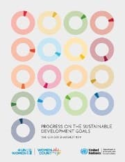Cover von Progress on the Sustainable Development Goals: The Gender Snapshot 2019
