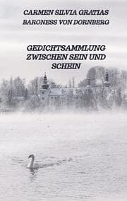 Cover von Gedichtsammlung zwischen Sein und Schein