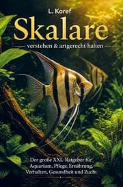 Cover von Skalare verstehen & artgerecht halten