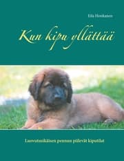 Cover von Kun kipu yllättää