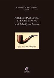 Cover von Perspectivas sobre el significado
