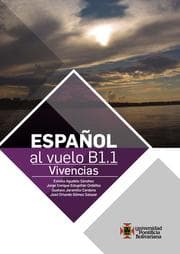 Cover von Español al vuelo B1.1