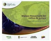 Cover von Manejo fitosanitario del cultivo de gulupa (Passiflora edulis Sims.): Medidas para la temporada invernal