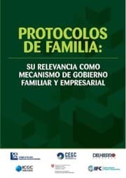 Cover von Protocolos de familia: su relevancia como mecanismo de gobierno familiar y empresarial