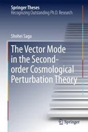 Cover von The Vector Mode in the Second-order Cosmological Perturbation Theory