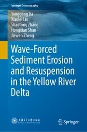 Cover von Wave-Forced Sediment Erosion and Resuspension in the Yellow River Delta