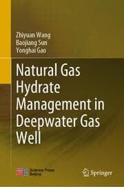 Cover von Natural Gas Hydrate Management in Deepwater Gas Well
