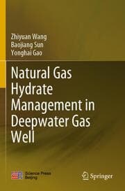 Cover von Natural Gas Hydrate Management in Deepwater Gas Well