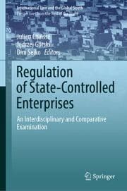 Cover von Regulation of State-Controlled Enterprises