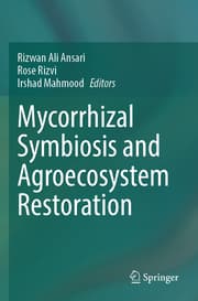 Cover von Mycorrhizal Symbiosis and Agroecosystem Restoration