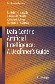 Cover von Data Centric Artificial Intelligence: A Beginner's Guide