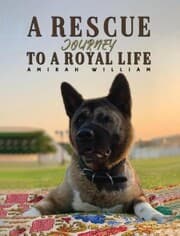 Cover von A Rescue Journey to a Royal Life