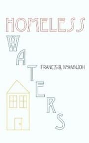 Cover von Homeless Waters