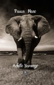Cover von Pauca Meae