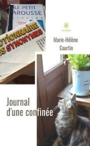 Cover von Journal d'une confinée