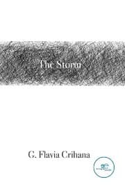 Cover von The Storm