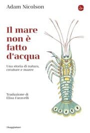 Cover von Il mare non è fatto di acqua