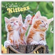 Cover von I Love Kittens/Ich liebe Katzenbabys 2027