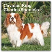 Cover von Cavalier King Charles Spaniels 2027