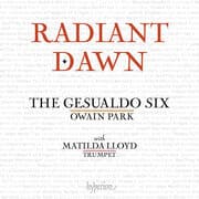 Cover von Radiant Dawn